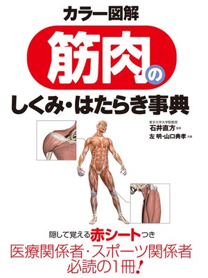 cover image of カラー図解　筋肉のしくみ・はたらき事典